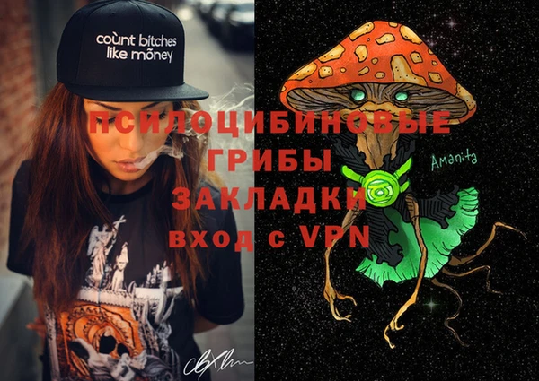 spice Алексин