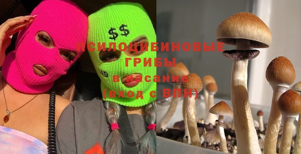 кокс Алексеевка