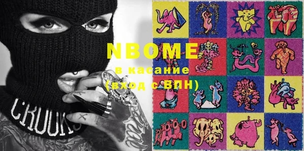 индика Абаза