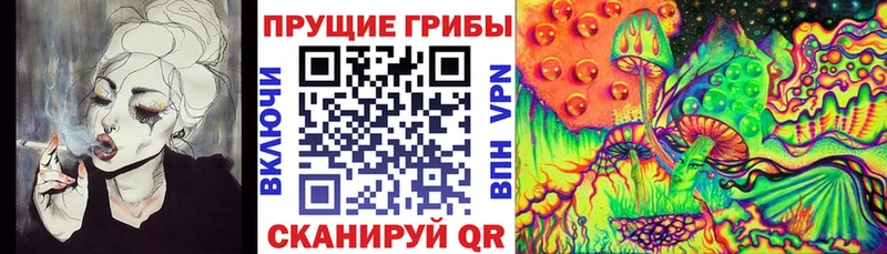 Псилоцибиновые грибы Psilocybe Королёв